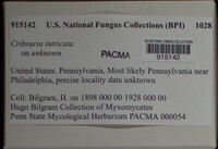 Image Associated With the Occurence
